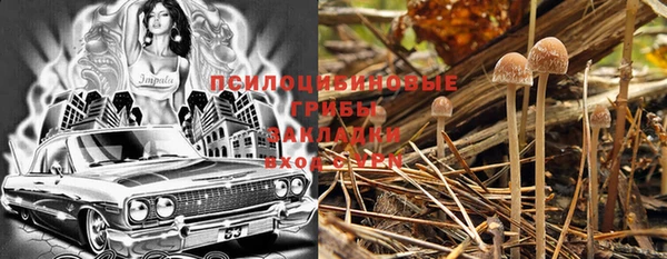 MESCALINE Белокуриха