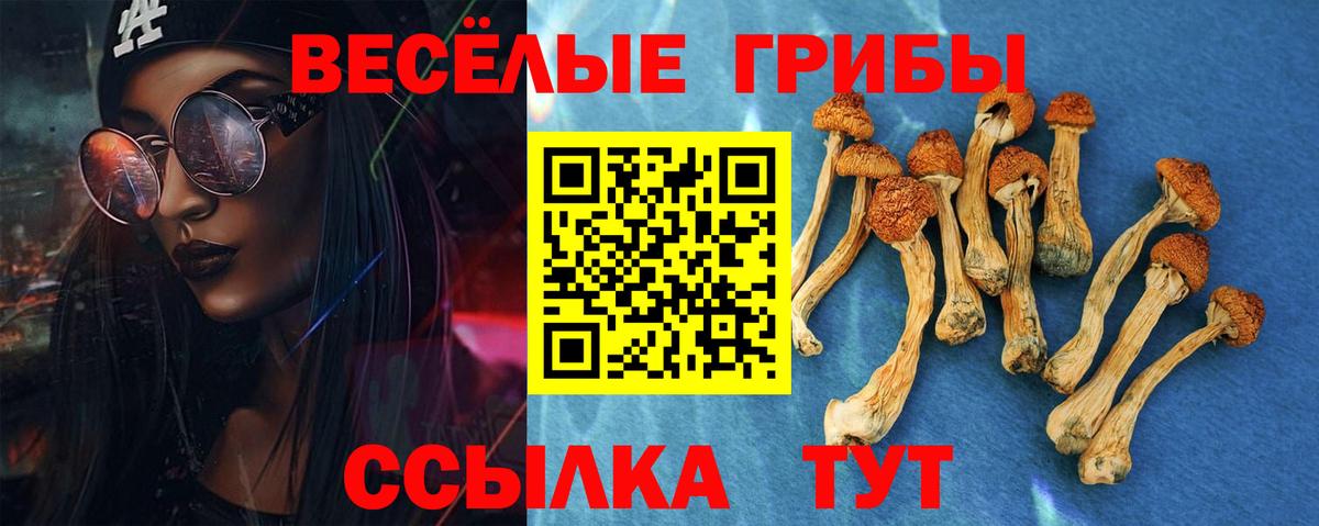 Волжск  сколько стоит  Вход с VPN  Псилоцибиновые грибы мицелий 