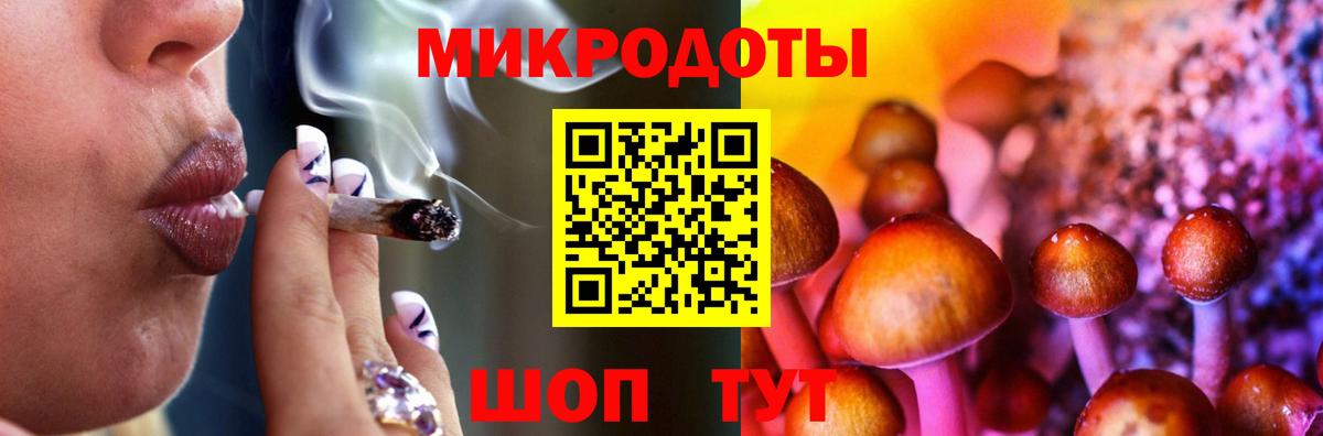 Галлюциногенные грибы Cubensis Волжск